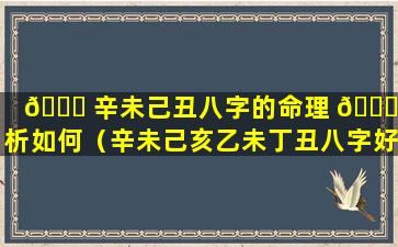 💐 辛未己丑八字的命理 🐒 分析如何（辛未己亥乙未丁丑八字好不好）